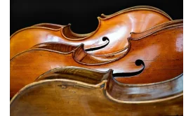 cello-4480885_640.webp